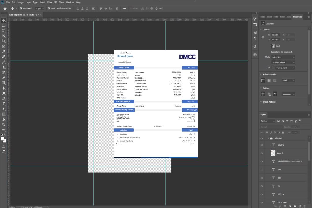 Modèle Word et PDF de licence de service des Émirats arabes unis à Dubaï template